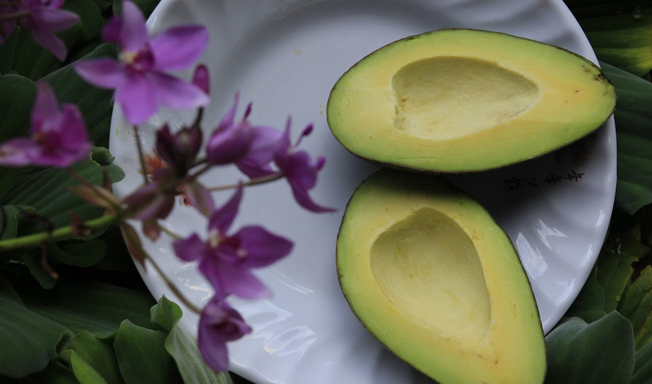 Avocado Delights: Creative Recipes to Try at Home