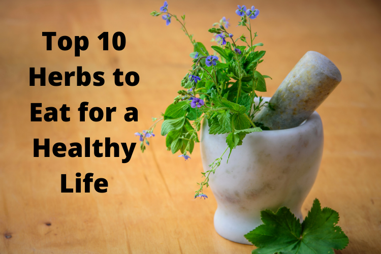 Top 10 Herbs to Eat for a Healthy Life
